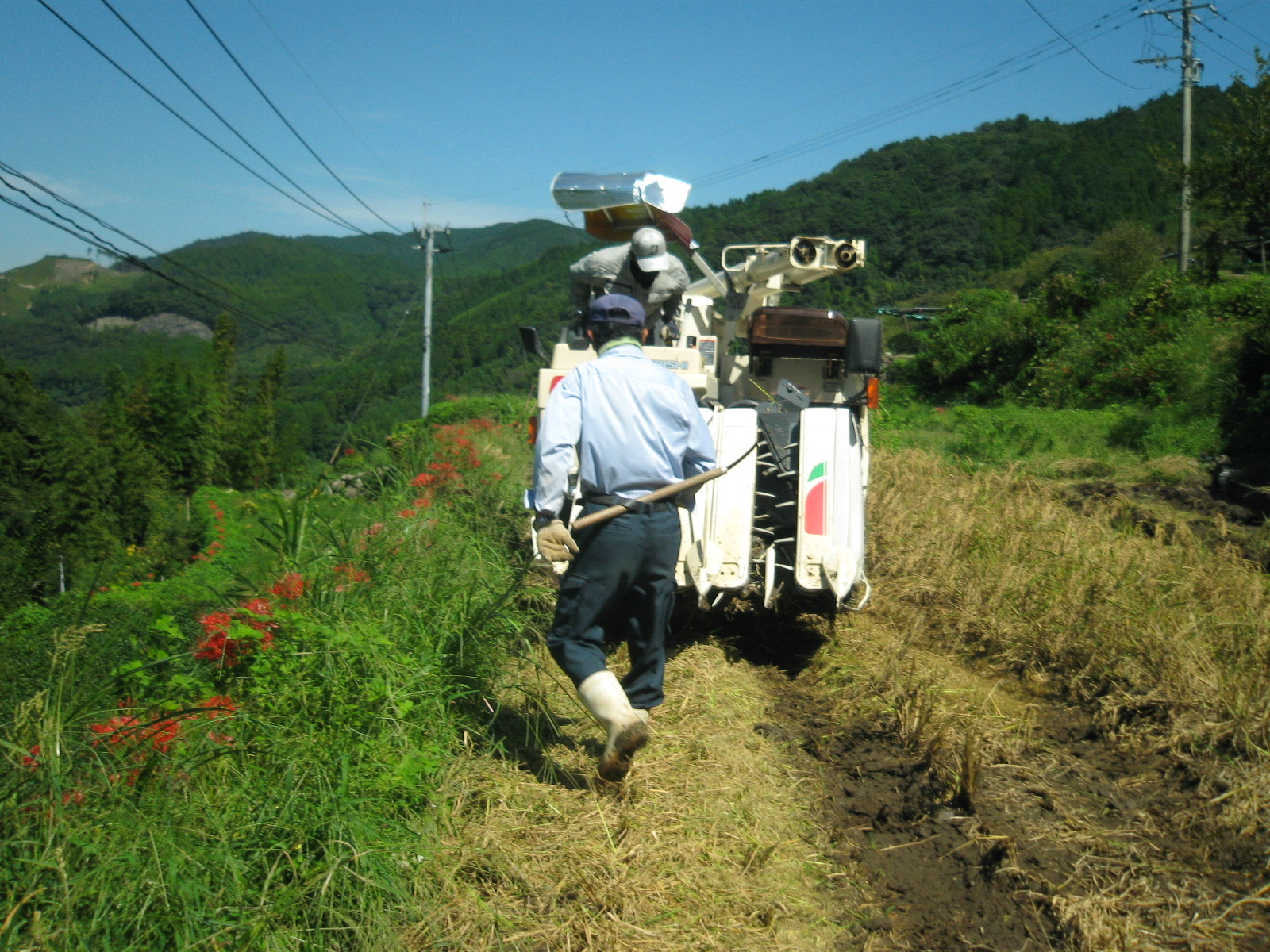 Yame, Fukuoka — Tea Farm